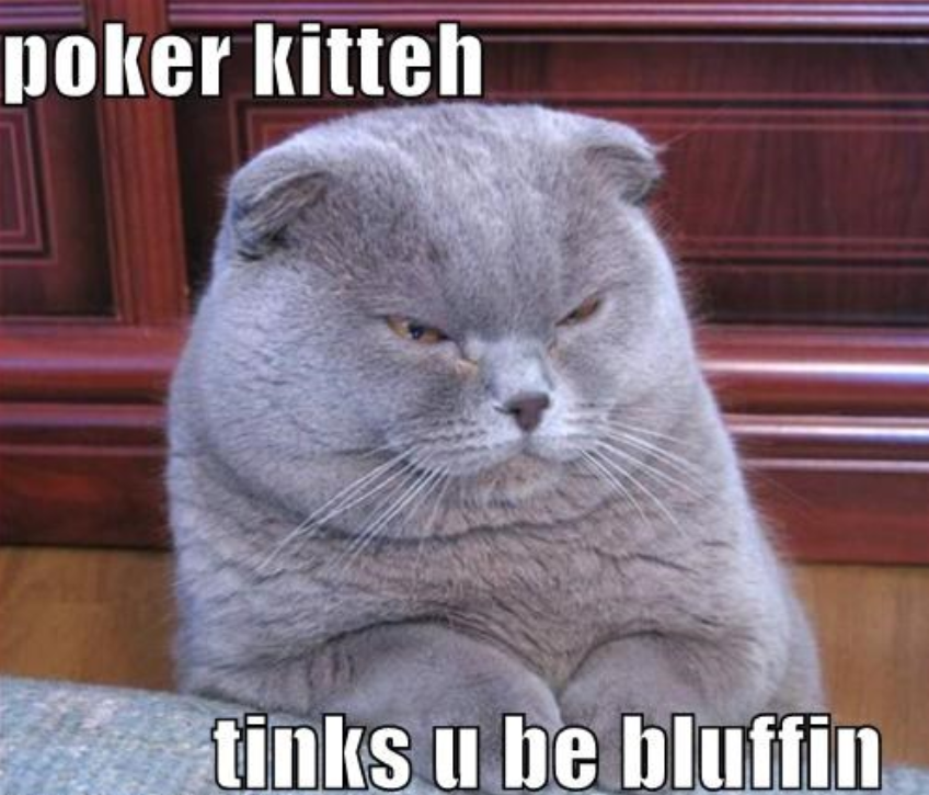 Poker Kitty  