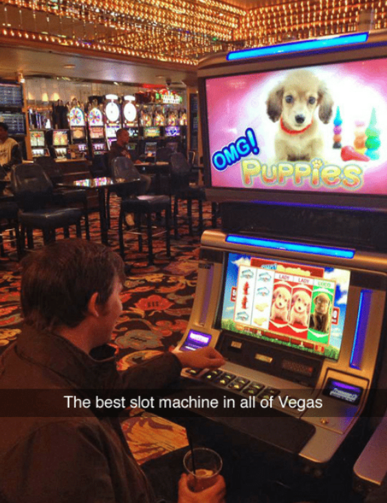 Puppy Slots  